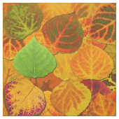 Aspen Blätter Collage Solid Medley 1 Stoff (Muster)