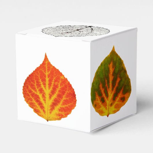 Aspen Blätter Medley Geschenkschachtel (Vorderseite)