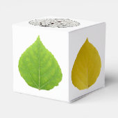 Aspen Blätter Medley Geschenkschachtel (Rückseite)