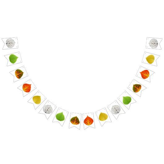 Aspen Blätter Medley Wimpelkette (Alle)