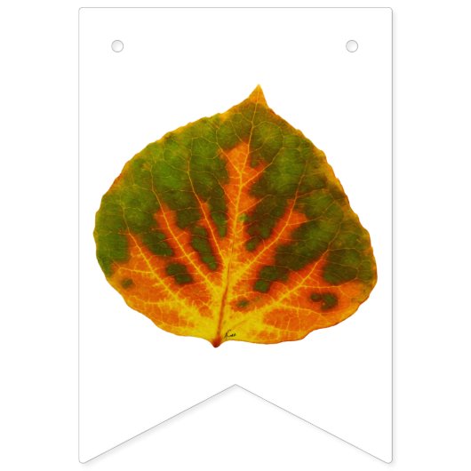 Aspen Blätter Medley Wimpelkette (Dritte Fahne)