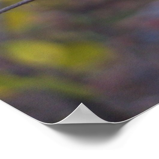 Aspen-Blätter Poster (Ecke)