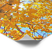 Aspen Ceiling Poster (Ecke)