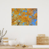 Aspen Ceiling Poster (Küche)
