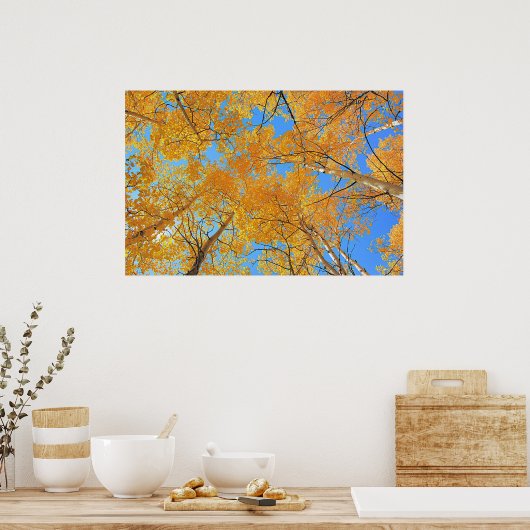 Aspen Ceiling Poster (Küche)
