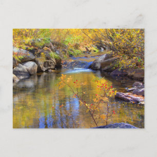 Aspen, Colorado Herbstbachlandschaft  Postkarte