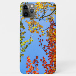 Aspen Colour Candy // Fall Leaf Farben Case-Mate iPhone Hülle