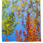 Aspen Colour Candy // Fall Leaf Farben Duschvorhang (Vorderseite)