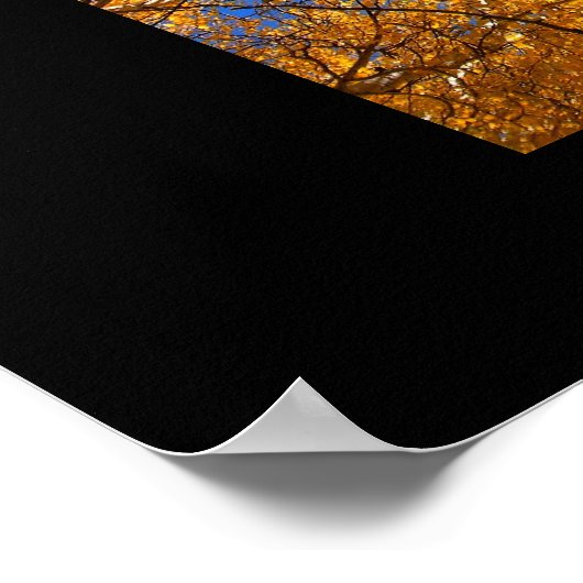 Aspen Dreams Poster (Ecke)