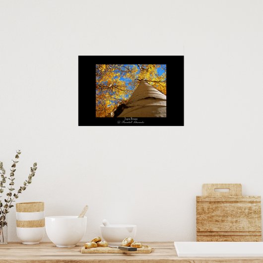 Aspen Dreams Poster (Küche)