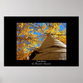 Aspen Dreams Poster (Vorne)