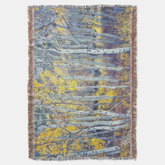 Aspen Forest Decke (Vorderseite Vertikal)