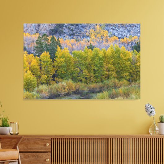 Aspen Forest im Herbst Leinwanddruck (Insitu (Wohnzimmer))