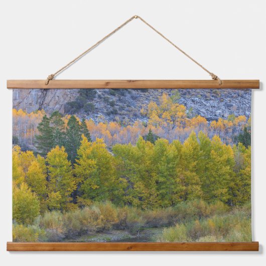 Aspen Forest im Herbst Wandteppich Mit Holzrahmen (Vorne)