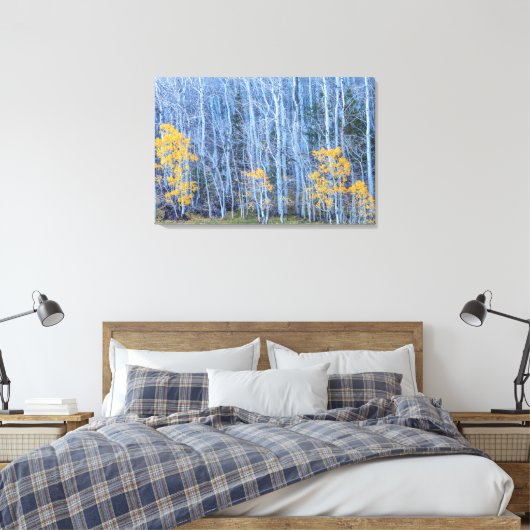 Aspen Forest Leinwanddruck (Insitu (Schlafzimmer))