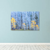 Aspen Forest Leinwanddruck (Insitu (Holzboden))