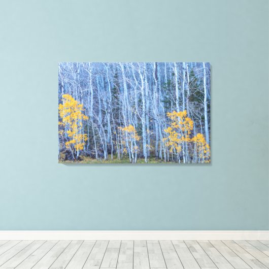 Aspen Forest Leinwanddruck (Insitu (Holzboden))