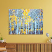 Aspen Forest Leinwanddruck (Insitu (Wohnzimmer))