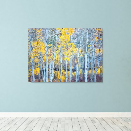Aspen Forest Leinwanddruck (Insitu (Holzboden))