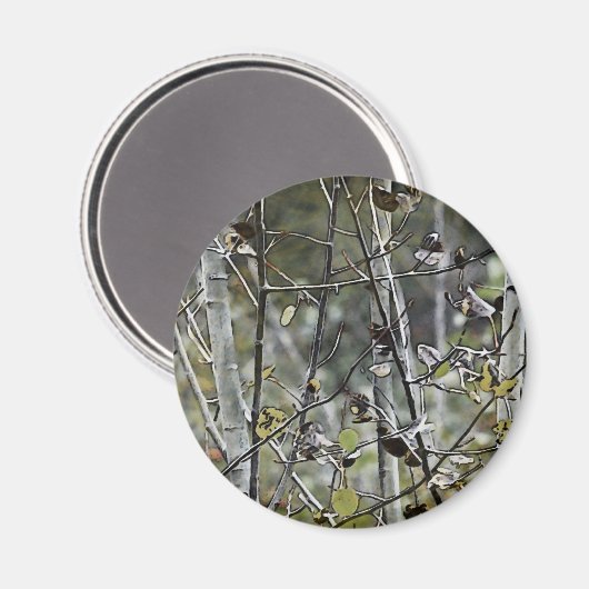 Aspen Forest Magnet (Vorderseite/Rückseite)