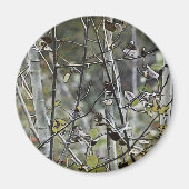Aspen Forest Magnet (Vorne)
