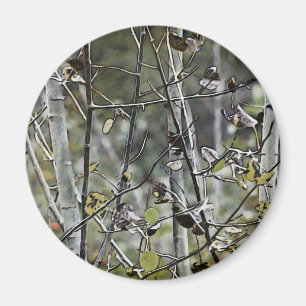 Aspen Forest Magnet
