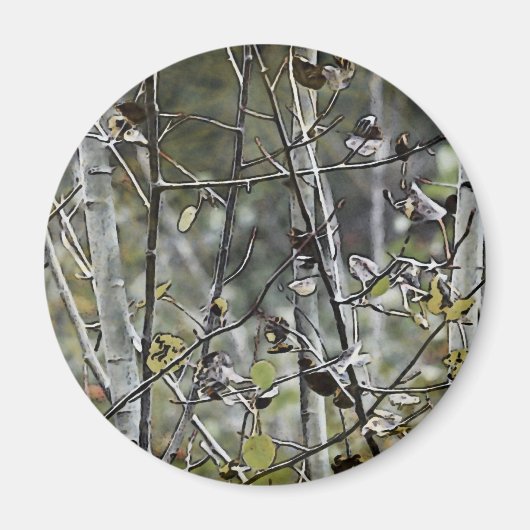 Aspen Forest Magnet (Vorne)