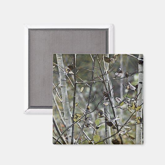 Aspen Forest Magnet (Vorderseite/Rückseite)