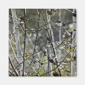 Aspen Forest Magnet (Vorne)