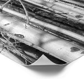Aspen Forest Poster (Ecke)