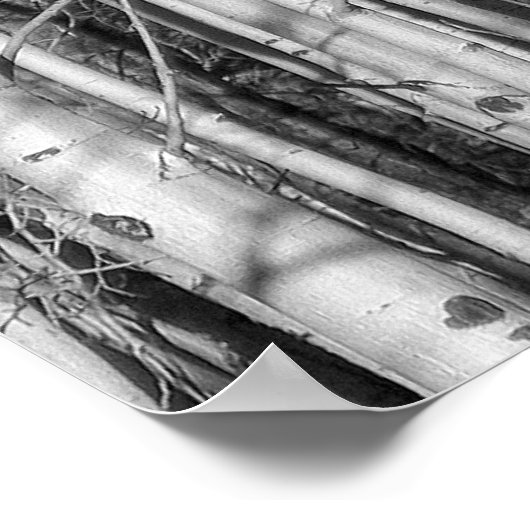 Aspen Forest Poster (Ecke)