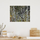 Aspen Forest Poster (Küche)
