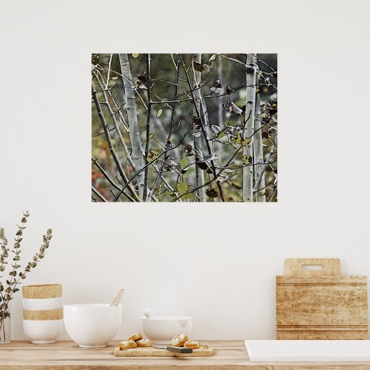 Aspen Forest Poster (Küche)