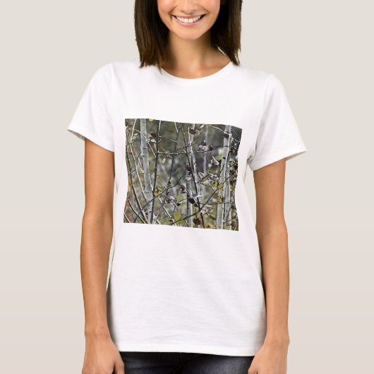 Aspen Forest T-Shirt (Vorderseite)