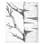 Aspen fotodruck (Vorne)