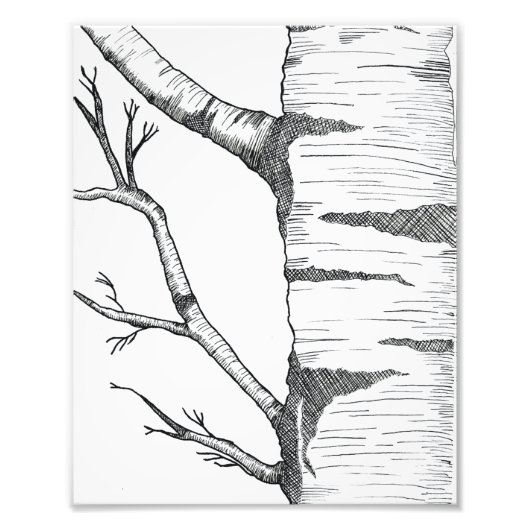 Aspen  fotodruck (Vorne)