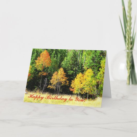 Aspen-Geburtstags-Karte Karte (Vorderseite)