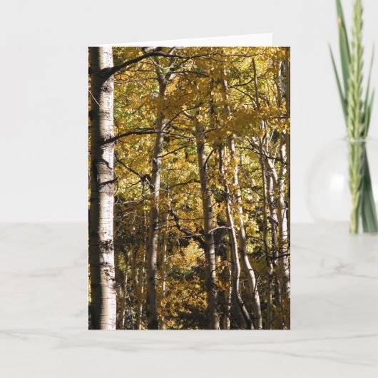 Aspen Gold Karte (Vorderseite)