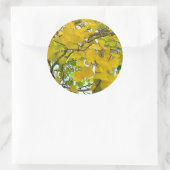 Aspen Gold Siegel! Runder Aufkleber (Tasche)