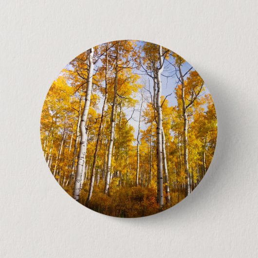 Aspen Groove Yellow Herbstlaube Button (Vorderseite)