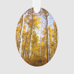 Aspen Groove Yellow Herbstlaube Ornament