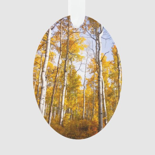 Aspen Groove Yellow Herbstlaube Ornament (Vorderseite)