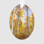 Aspen Groove Yellow Herbstlaube Ornament (Rückseite)