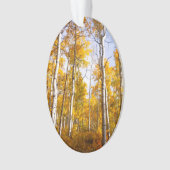 Aspen Groove Yellow Herbstlaube Ornament (Vorderseite)