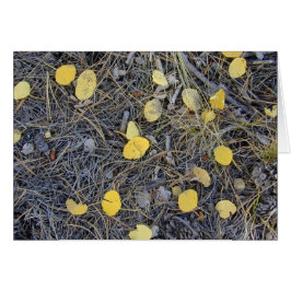 Aspen Ground II-Karte