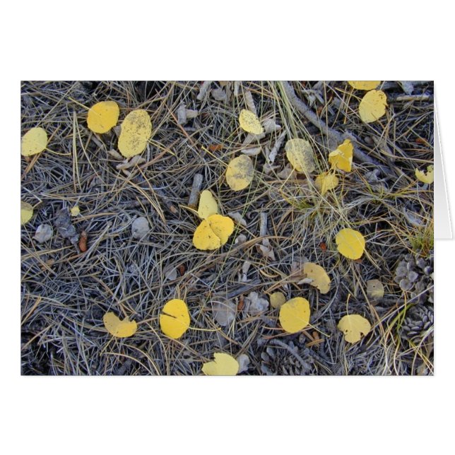 Aspen Ground II-Karte (Vorderseite (Horizontal))