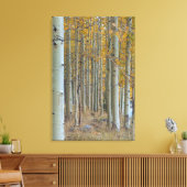 Aspen Grove im Herbst Leinwanddruck (Insitu (Wohnzimmer))