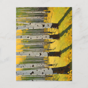 Aspen Grove in der Nachmittagssonne Postkarte