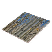 Aspen Groves | Colorado Rocky Mountains Fliese (Seite)