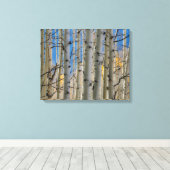 Aspen Groves | Colorado Rocky Mountains Leinwanddruck (Insitu (Holzboden))
